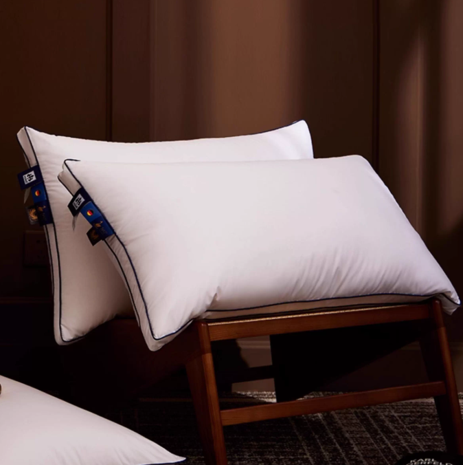 irisette德国95白鹅绒枕五星级酒店枕头羽绒枕芯全鹅绒超柔助眠枕